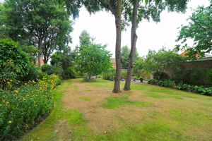 Photo 12- click for photo gallery